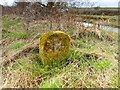 SD5174 : Old Milestone Marker 14-43 R (between bridges 141-140), Lancaster Canal by Cactus Chris