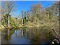 SE3271 : The River Ure near Bell Banks by Adrian Taylor