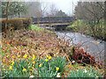 NT0804 : Annan Bridge, Moffat by Jim Barton