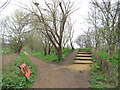 TQ1481 : Paths through parkland near Greenford by Malc McDonald