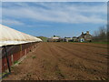 NT9162 : Buildings at Littledean Farm by M J Richardson