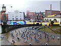 SJ8990 : Pigeons in the Bear Pit by Gerald England