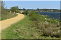 SZ0597 : Path on the western edge of Longham Lakes by David Martin