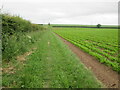 TA0319 : Field  edge  footpath  south  toward  Deepdale by Martin Dawes