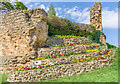 TQ5946 : Floral display, Tonbridge Castle by Ian Capper