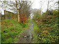 NS4960 : Track just off Grahamston Road by Richard Sutcliffe