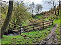 SK0161 : Old mill pond above Dane's Mill by Ian Calderwood