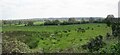 TL9433 : Watermeadow Panorama by Glyn Baker