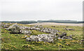 NY3931 : Outcrops of limestone on Highbanks [Murrah Hill] by Trevor Littlewood