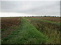 TA3524 : Field  edge  footpath  across  South  Leys  to  Hollym by Martin Dawes