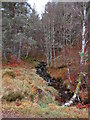 NH8813 : Stream in woodland near Aviemore by Malc McDonald