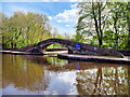 SJ9398 : Nineteenth Century Footbridge over the Dukinfield Aqueduct by David Dixon