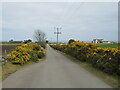 NJ9512 : Golf club access road near Bridge of Don, Aberdeen by Malc McDonald