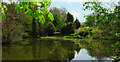 TQ3650 : Leigh Mill Pond by Derek Harper