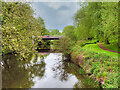 SJ6566 : River Weaver Navigation at Winsford by David Dixon