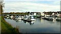 NS3981 : Moorings on the River Leven at Balloch by Stephen Armstrong