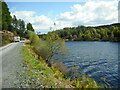 NN5203 : Forestry road beside Lochan Reòidhte by Richard Sutcliffe