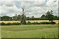 ST9998 : Farmland by A429 by N Chadwick