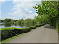 SU8230 : Hotel driveway near Liphook by Malc McDonald