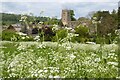 SP0228 : Cow  parsley and Winchcombe church by Philip Halling