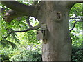 NT2470 : Nest box, damaged by a Woodpecker by M J Richardson