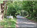 SU8839 : Thursley Road at Pitch Place, Surrey by Malc McDonald