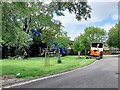 SK5606 : Tree surgery on Copeland Avenue by Ian Calderwood