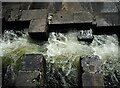 NN4806 : Fish ladder, Loch Katrine Dam by Richard Sutcliffe