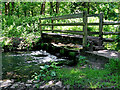 SJ8903 : Footbridge over the River Penk near Bilbrook in Staffordshire by Roger  D Kidd