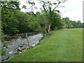 SE0851 : The west bank of the River Wharfe by Christine Johnstone