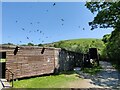 SN9867 : Hides at the Gigrin Farm Red Kite Feeding Centre by Mat Fascione