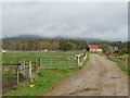 NH9011 : Driveway on the Rothiemurchus Estate, near Aviemore by Malc McDonald