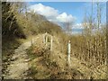 SO5998 : The Shropshire Way at Wenlock Edge by Mat Fascione