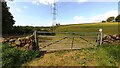 NY7164 : Gateway to field with horses at NW side of road at High Summer Rods by Luke Shaw