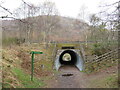 NH8912 : Paths at Aviemore by Malc McDonald