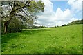 SO5491 : On the Shropshire Way approaching Lower Stanway by Jeff Buck