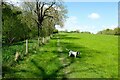 SO5492 : Towards Wilderhope Manor on the Shropshire Way by Jeff Buck