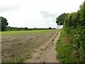 SK6150 : Footpath to Oxton by Alan Murray-Rust