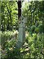 SW9175 : Celtic Cross at Prideaux Place by David Dixon