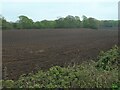 SJ8255 : Recently ploughed field, Church Lawton by Christine Johnstone