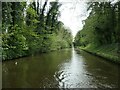 SJ8318 : Castle Cutting, Shropshire Union Canal by Christine Johnstone