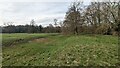 TL5262 : Fishpond at Anglesey Abbey by Sandy Gerrard