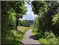 SO7974 : Path and cycleway along the A456 by Mat Fascione