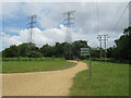 SY9992 : Paths and pylons in Upton Country Park, near Poole by Malc McDonald