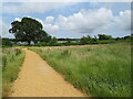 SY9992 : Path in Upton Country Park, near Poole by Malc McDonald