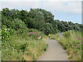 SZ0092 : Path alongside Holes Bay, near Poole by Malc McDonald