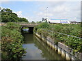 SZ0092 : Bridge over a creek, Creekmoor, near Poole by Malc McDonald