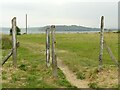 SX4952 : Concrete fence posts above Jennycliff by Alan Murray-Rust