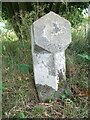 TF8835 : Old Boundary Marker by All Saints Waterden by C Haines