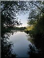 SP3487 : Bedworth Sloughs by A J Paxton